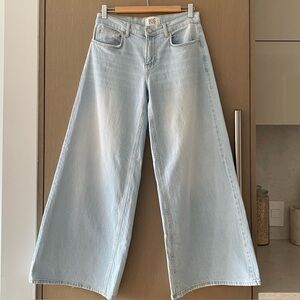 Urban Outfitters BDG joey low rise wide leg jeans